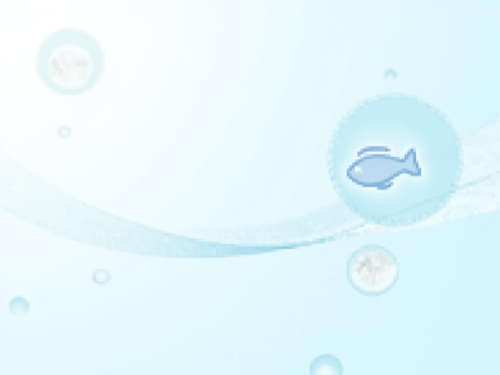 MSC certification and regulatory compliance